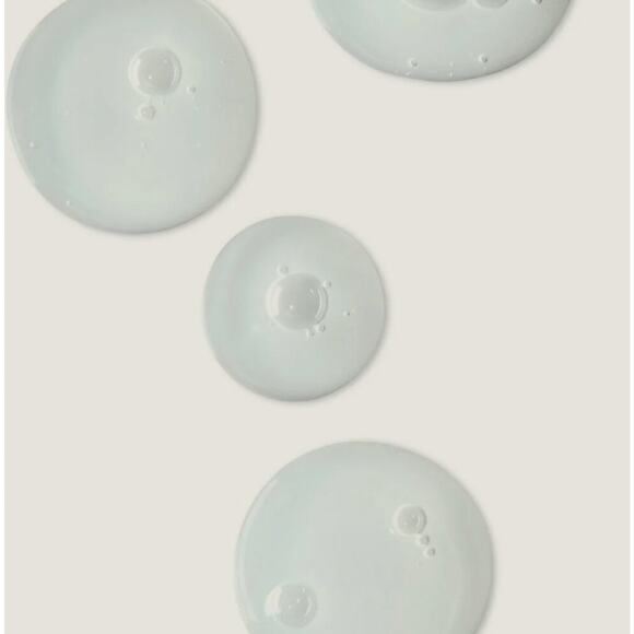 NWT Twentynine Palms Desert Tumbleweed Shampoo & Conditioner 16.9oz | MSRP $108 - Picture 9 of 10